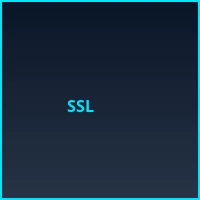 SSL银行级加密认证 - 赏金女王试玩